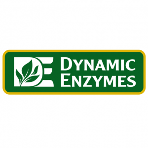 Dynamic Enzymes